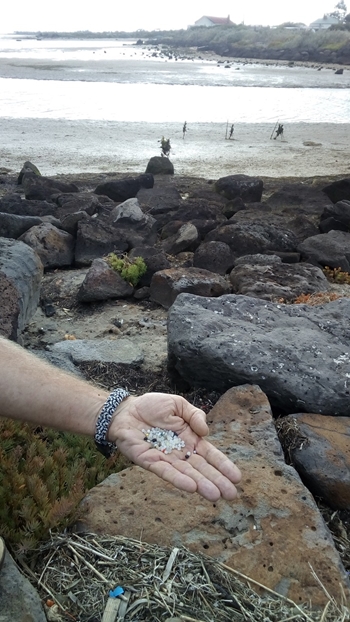 Photo of plastic resin pellets (also called nurdles) in a person's hand. In the background is rocks and the beach.