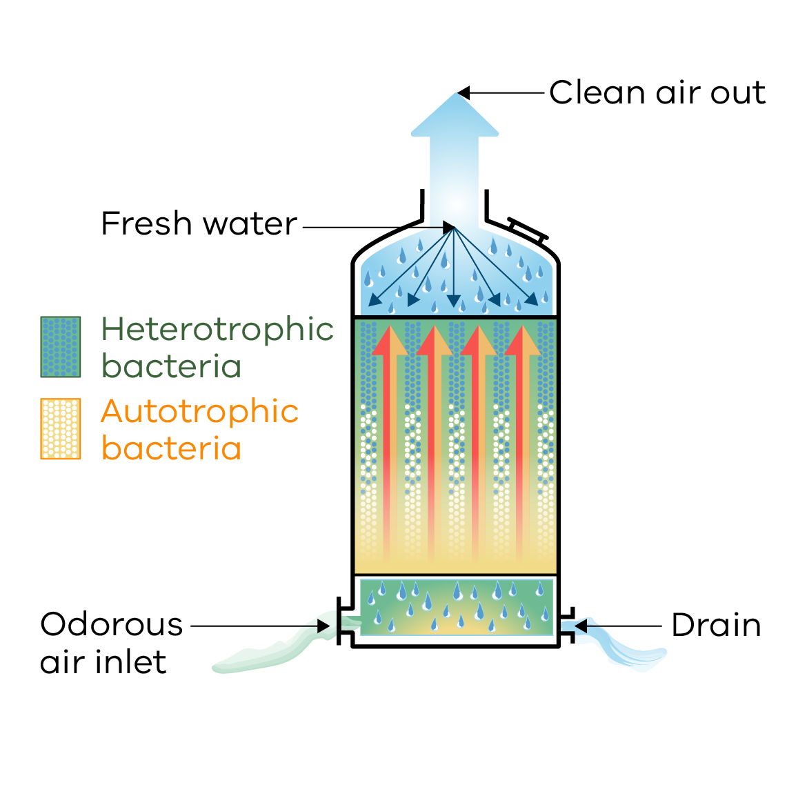 Illustration of a bio-trickling filter.