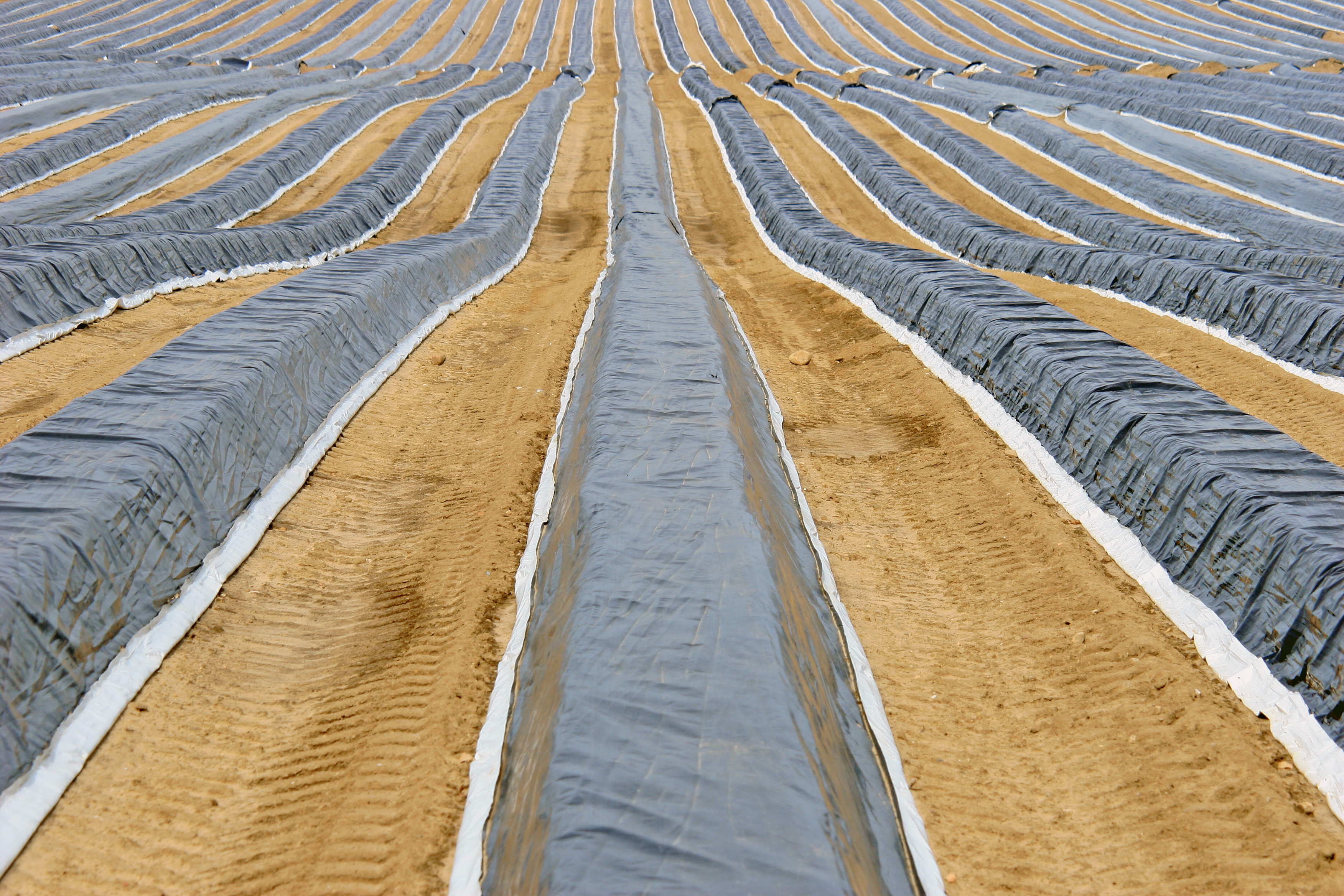 Photo of a tarp being used to contain odour.