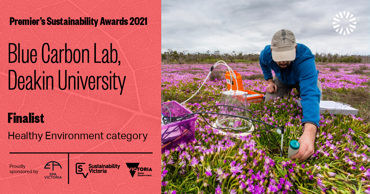 Finalist announced Blue Carbon Lab Deakin University – Victorian Coastal Wetland Restoration. man in purple field running test.