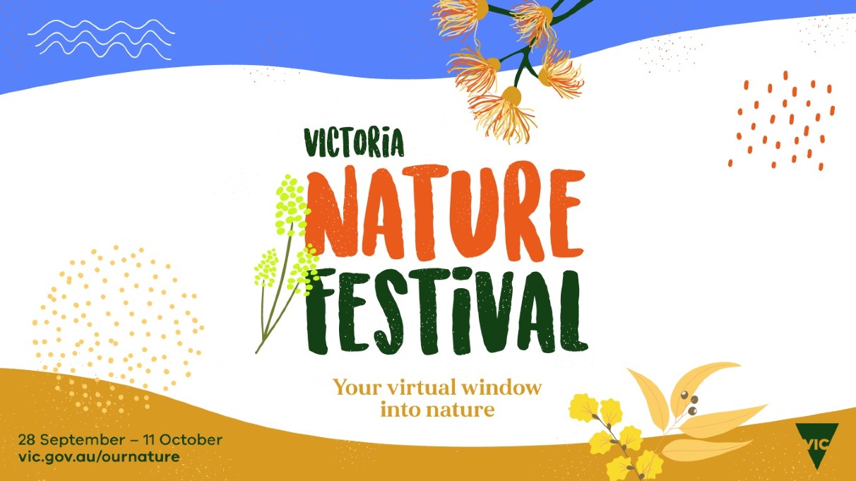 Nature festival banner