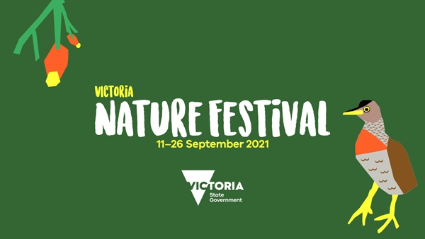 Victoria Nature Festival green image with bird illustration 