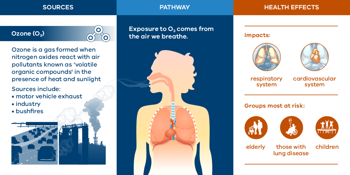 Infographic showing: the sources of ozone. how we’re exposed to ozone and the health impacts of ozone. 