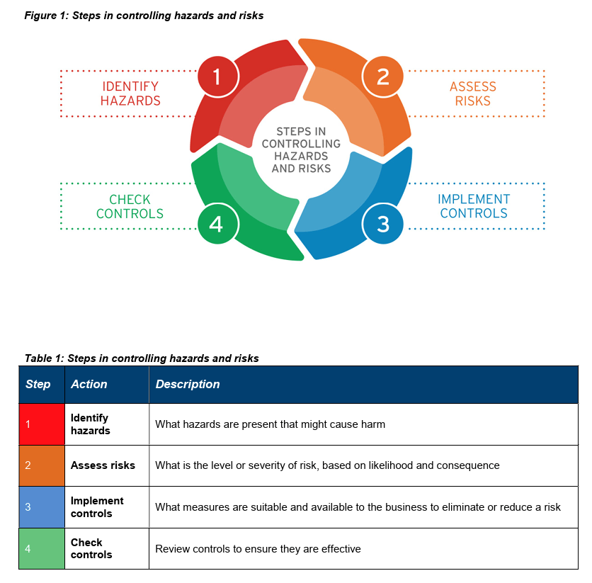 Risk management process
